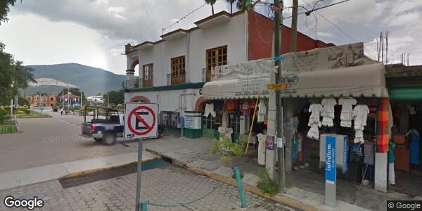 COMITÉ DEL ÁRBOL DEL TULE